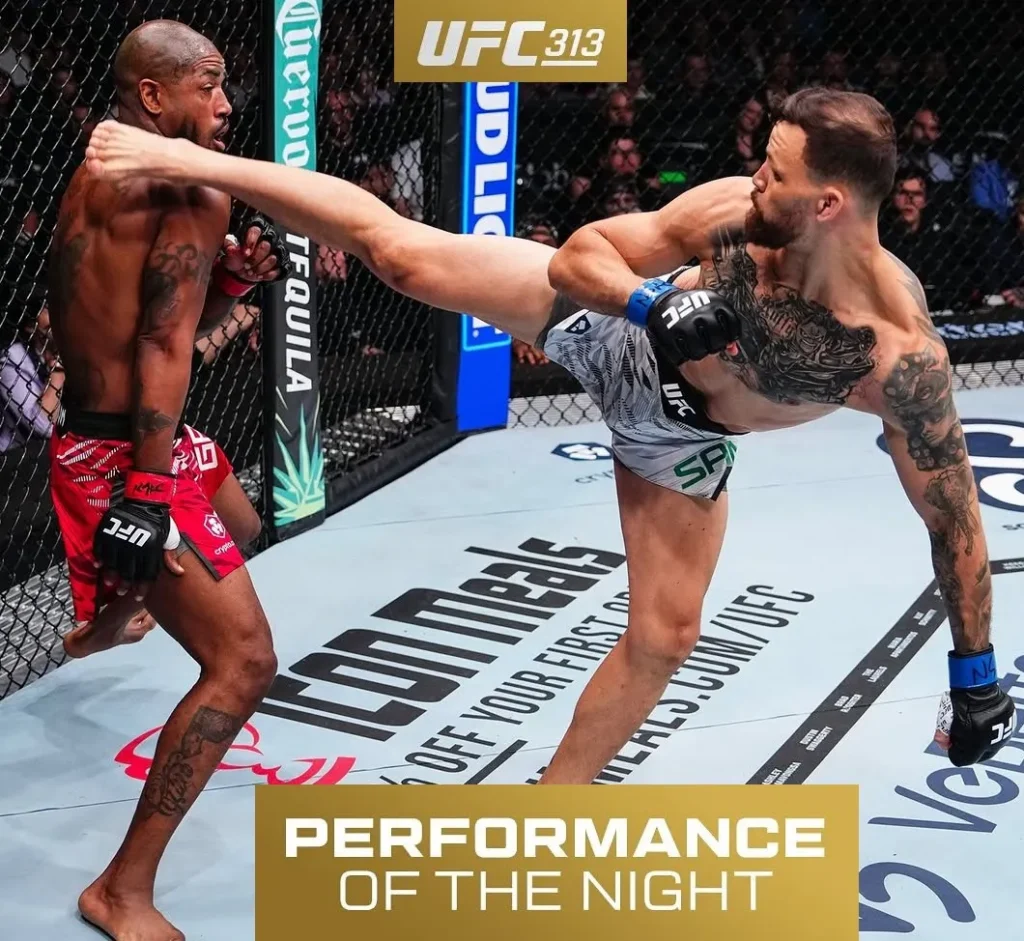 UFC 313 Pereira vs Ankalaev